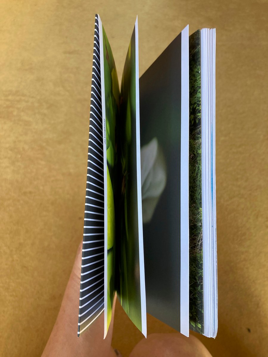 Here’s a glimpse of my artist pages, A Dangerous Insinuation, which include my own photographs of bindweed and a reproduction of one of H.W. Diamond’s early salt prints, Portrait of a Patient, from the <a href="/The_RPS/">The Royal Photographic Society</a> Collection <a href="/V_and_A/">V&A</a>