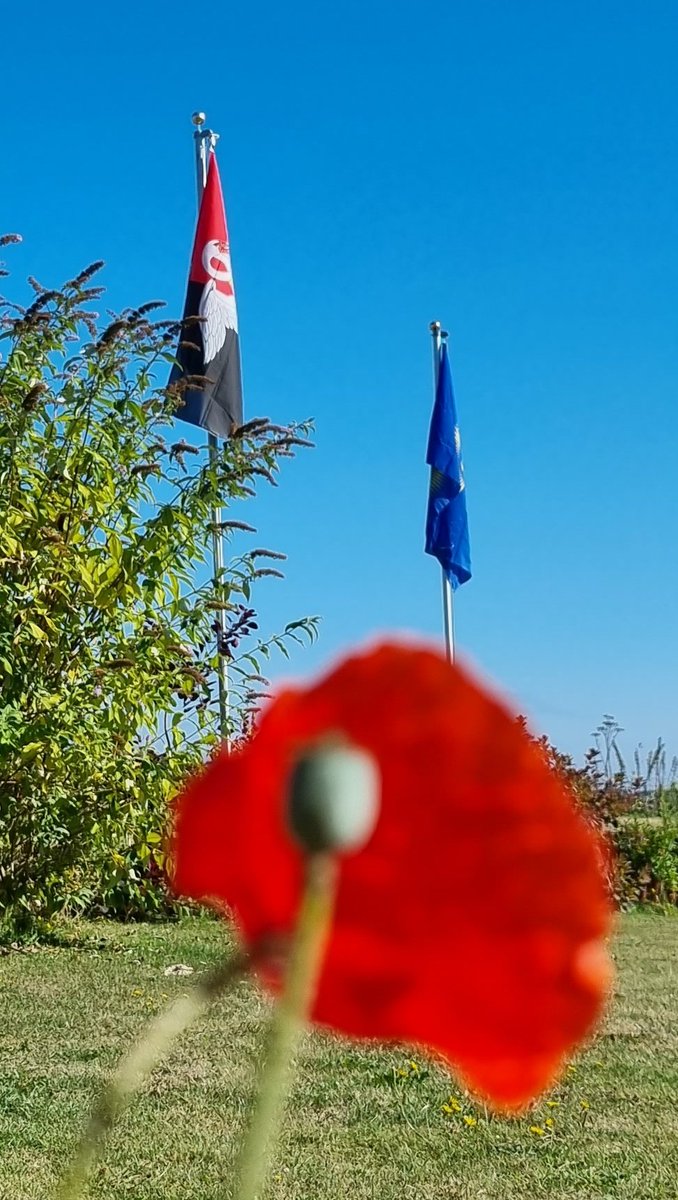 The Buckinghamshire County flag flies over one of the Ribbon of Poppies displays at our HQ to mark #BuckinghamshireDay2022

Buckinghamshire is also the birthplace of our Global Living Memorial the Ribbon of Poppies!

<a href="/BucksLiveNews/">Buckinghamshire Live</a> <a href="/bucksfreepress/">Bucks Free Press</a>
<a href="/BucksHealthcare/">Buckinghamshire Healthcare NHS Trust</a> <a href="/5OBLI/">Ox & Bucks LI 5th Bn</a>