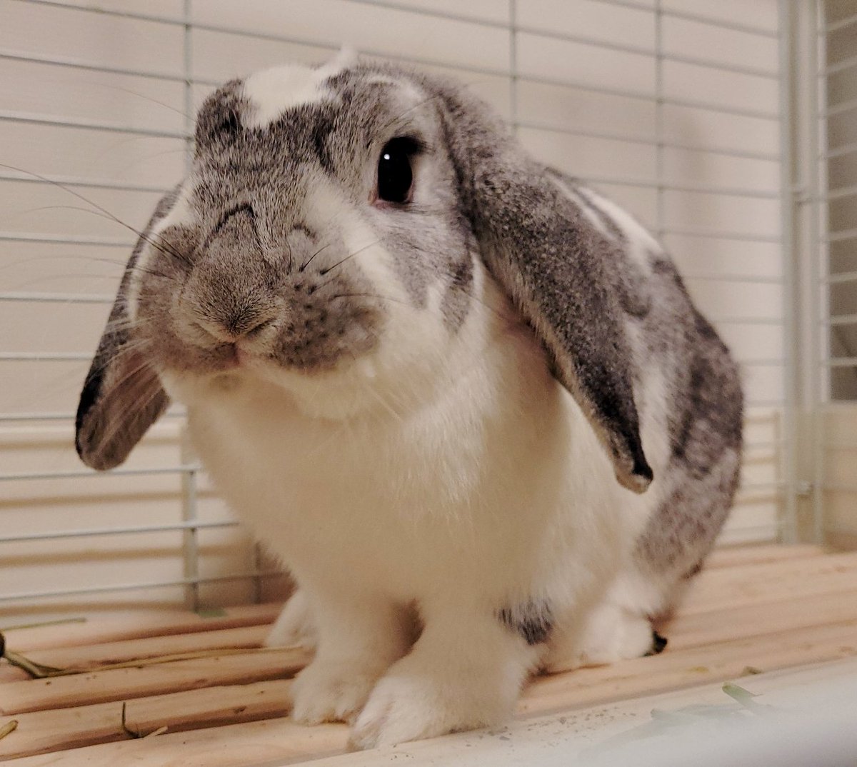 Fvu9ojpz 4zbm Fvu9ojpz 4zbm