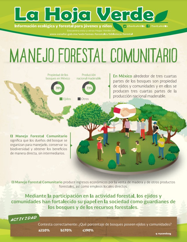 Comisión Forestal tweet media