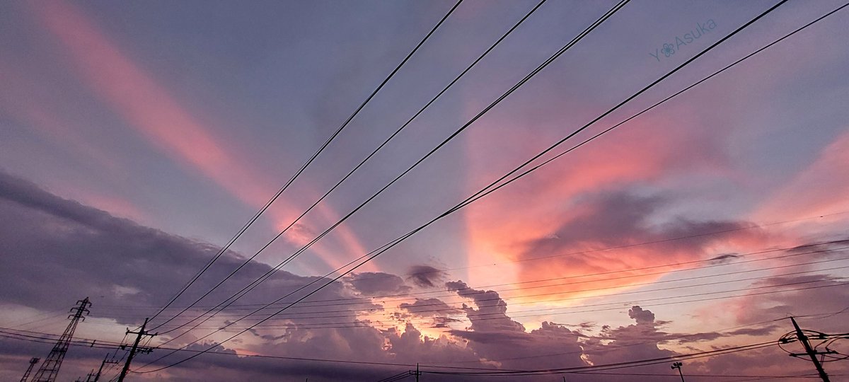 yumeasutw's tweet photo. 日没後が凄かった💜
薄紫の夕焼け空に
#薄明光線 が放射状に天に向かい
東の空にはうっすらと
#反薄明光線 が💗
北の空には桃色の
#積乱雲 と #かなとこ雲 ⛈️
#空の名前
#雲の教室
#天気の図鑑 #雲友
#マジックアワー #トワイライト #薄明
#夕空 #夕焼け #鉄塔 #電柱 #電線
#a2022 #a0729 #a202207 https://t.co/UzYX2NgPuI