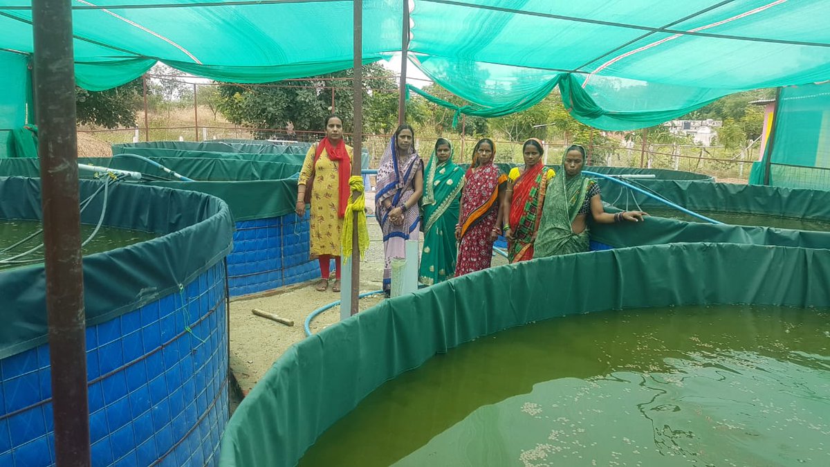 RIPARAIGARH's tweet photo. To promote livelihood of SHGs, #Biofloc pisciculture is promoted in 2 RIPAs of @RaigarhDist with technical inputs from @cg36fisheries. One such unit of 7 tanks has been made in Hirri RIPA of Baramkela Block.
@FisheriesGoI @cgsrlm @ChhattisgarhCMO @DPRChhattisgarh @IASassociation https://t.co/4lN9D3Qceb