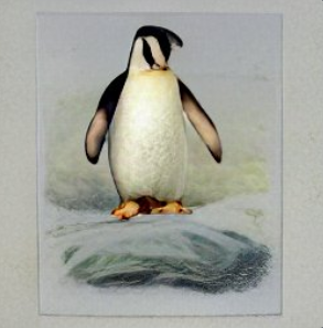 In Chapter A04 of The Monitors, we learn about Alice's checkered past as she says farewell to the Cuttlefish Cafe. #The_Monitors_scifi #SciFi #anthropology #archaeology
ow.ly/SpLr50K5hCz