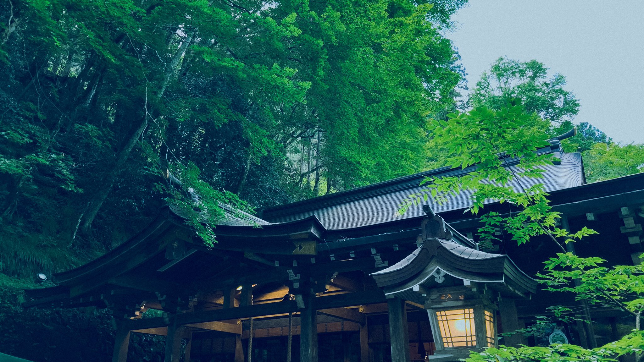 クリス 平田 一真 (kris_wav) / Twitter