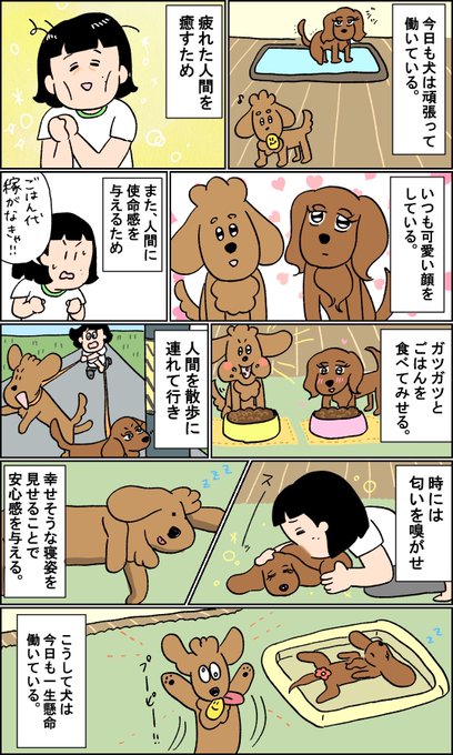 犬は今日も人間のために働く 