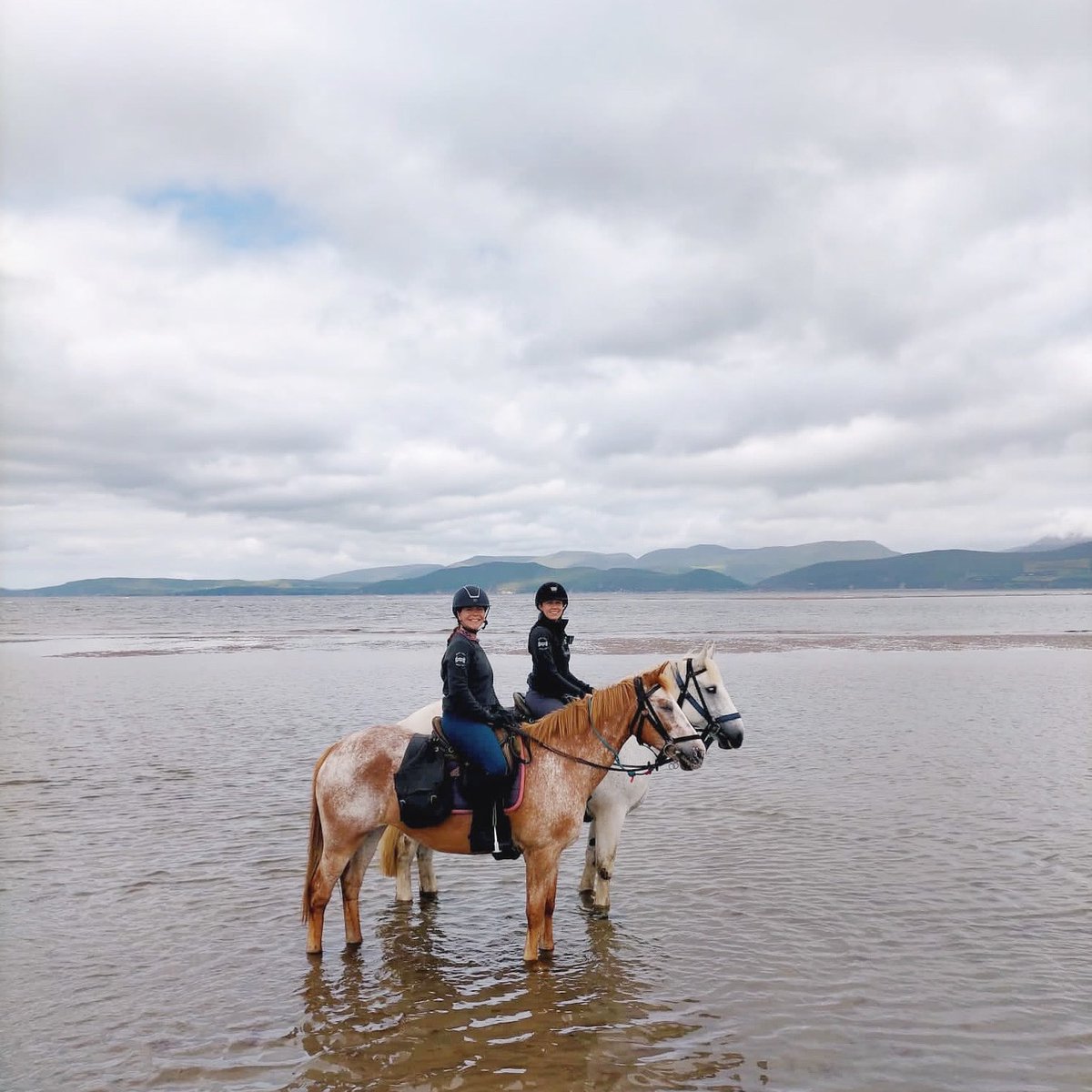 From early show mornings to wild adventures, the Sueño Tech Sweater is our top pick! ✨ Looks like your favorite cashmere sweater, only it’s actually made to stand up to barn life AND is machine washable. 🙌🏼

shophuntclub.com/collections/th…