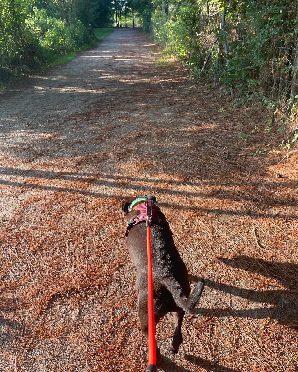 Amy Avery tweet media