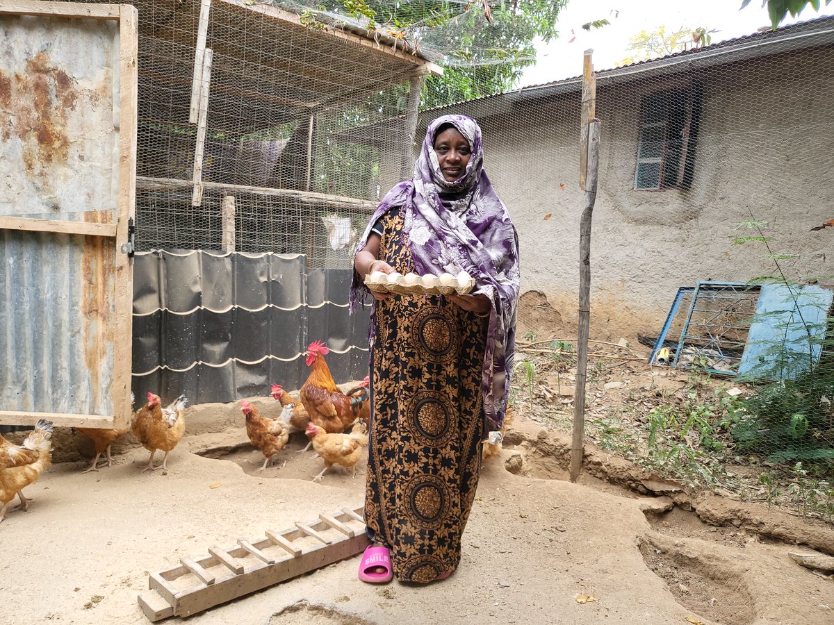 lmskenya's tweet photo. Fatuma Abdi from @MarsabitCounty has for years accessed poultry feeds from over 500km away. That has changed thanks to @lmskenya supported Moyale Feeds which is producing affordable, high-quality feeds and making home deliveries - saving time &amp; money. @USAIDKenya @acdivoca https://t.co/UeE2ipeDB1