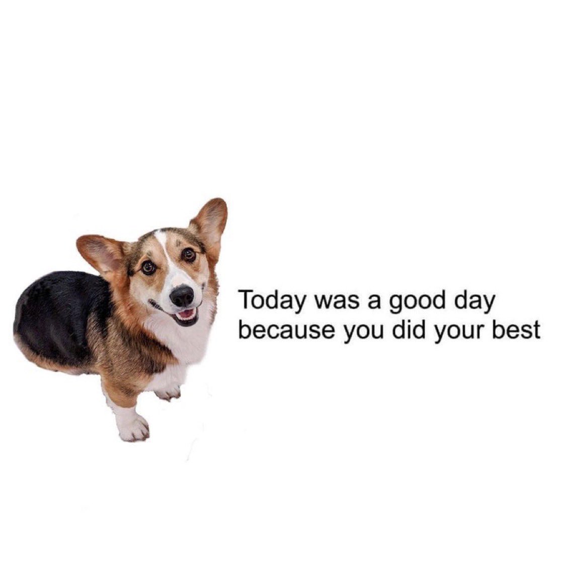 dreamcastmoe's tweet image. SOUND IS LIKE WATER PT.1 - Out now 
This project wouldn’t be possible without the people who push me, Friends &amp;amp; family alike. @FutureTiming @jujujordash , Z.D.B.T &amp;amp; Dawson. 

Shout out to the team at @ghostly for trusting the vision.. Julian Duron w/ the artwork. [link in bio]