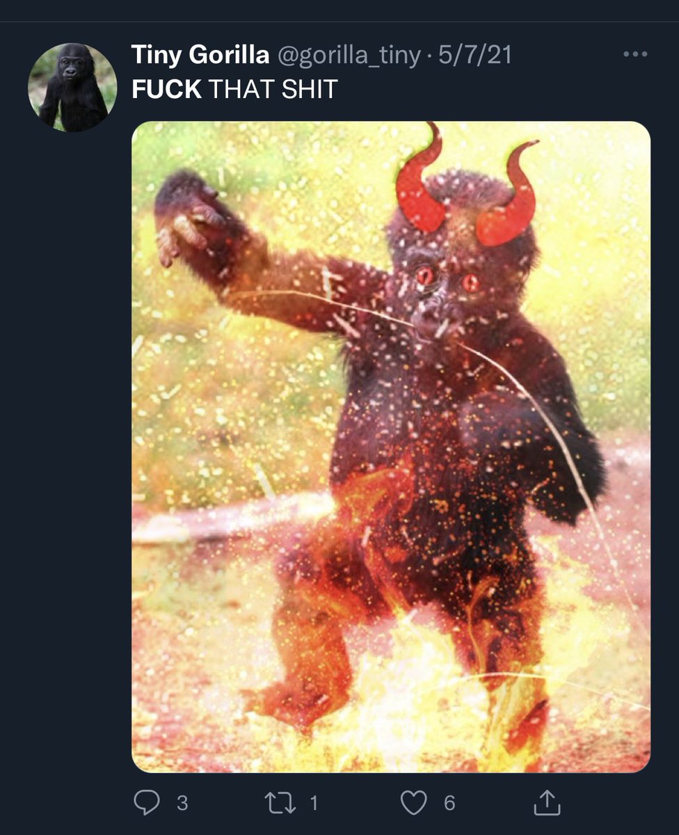 afool4apes's tweet image. 🦍edit by @AGibbonist