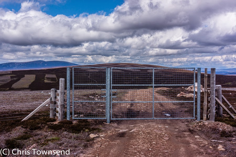 RaptorPersUK's tweet photo. NO PROSECUTION for shot raptors found on Millden Estate in the Angus Glens. Details in blog ⬇️

Where's that grouse moor licensing scheme, @NicolaSturgeon @MairiGougeon @MairiMcAllan @lornaslater ?

https://t.co/BCjyj9Jyoz 

📸@townsendoutdoor https://t.co/eRIkAj6BIT