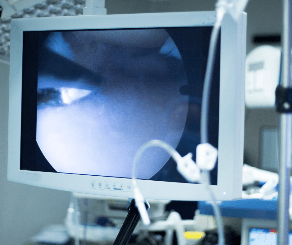 Nickolas Garbis, MD tweet media