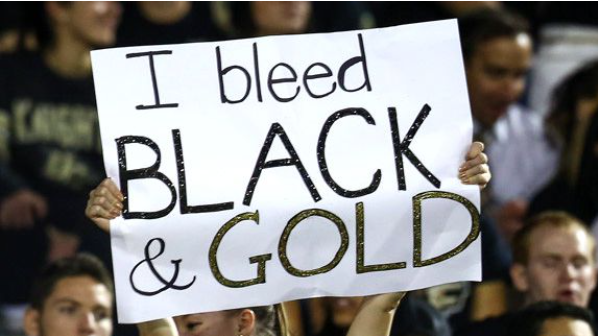 Calling Central Florida college football super fans! #collegefootball #football #sports #superfans #ucfknights #floridagators #fsuseminoles #UCF #UF #FSU <a href="/orlandosentinel/">Orlando Sentinel</a> <a href="/orlandosports/">Sentinel Sports</a> tinyurl.com/2r9cmf92