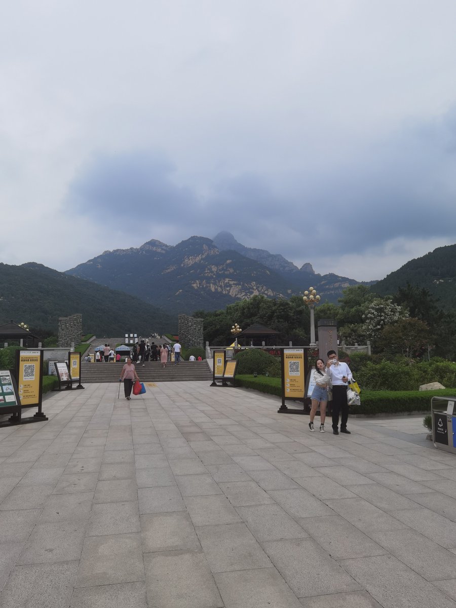 Jaap 雅普 Grolleman tweet media