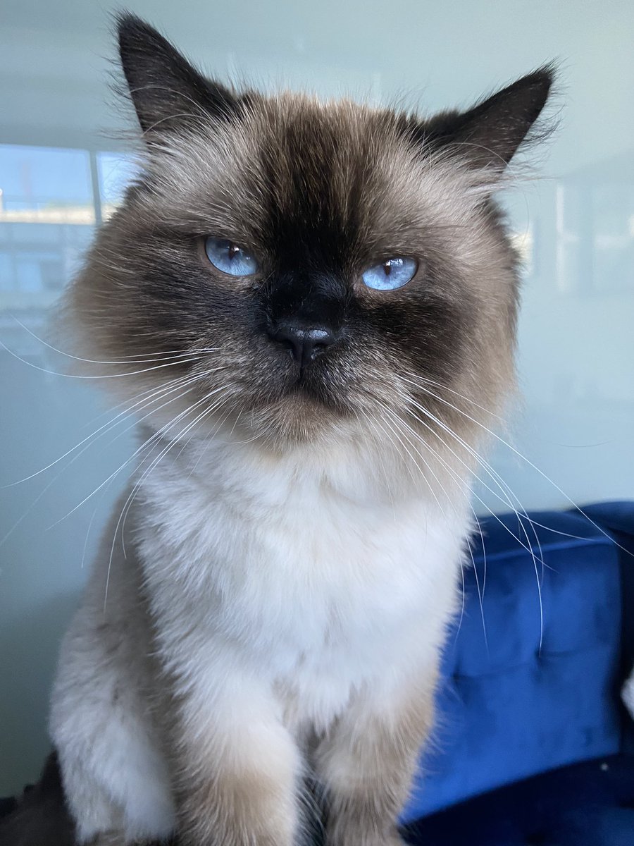 TGIF!! 🎉 …I’m clearly excited for the long weekend!😁