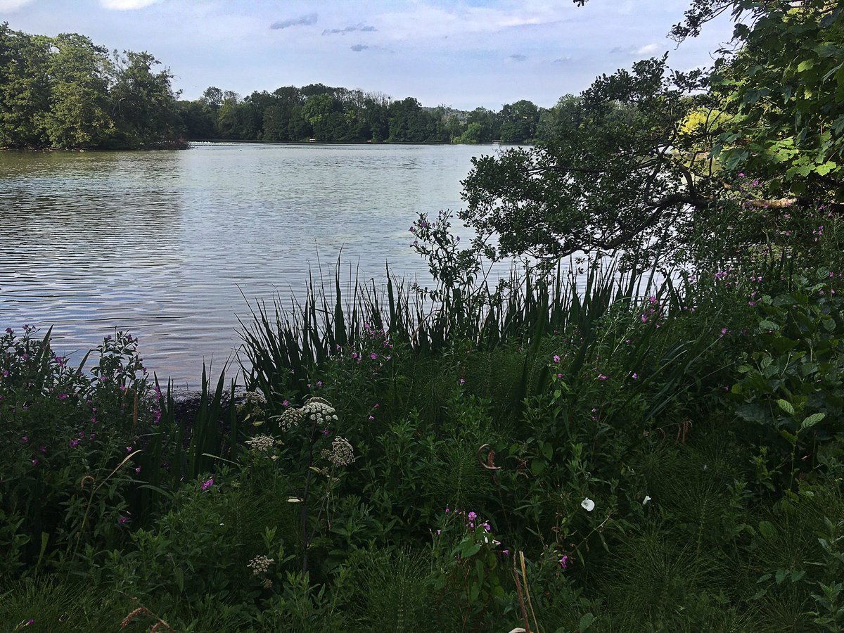 50+ and Running 🏃🏻♂️🏋️♂️🧘♂️ tweet media