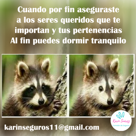 Dormir tranquilo no tiene precio……contáctame #KarinSuarezSeguros #PazMental #DormirEnPaz #DormirTranquilo