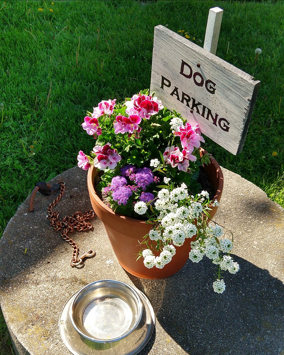 We are in the dog days of summer.  Need something to beat the heat?  How about a refreshing gin and tonic?  Stop in and see us this weekend.

#drinklocal #shoplocal #gin #mainelife #visitmaine #visitportland