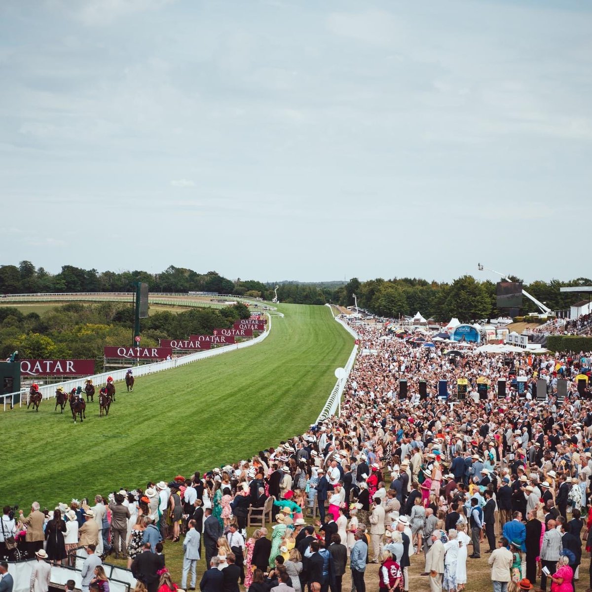 Tomorrow is the last day of the Qatar Goodwood Festival! We hope you all have a great day! Are you going to be there or have you already been this year? <a href="/Goodwood_Races/">Goodwood Racecourse</a> #QatarGoodwoodFestival