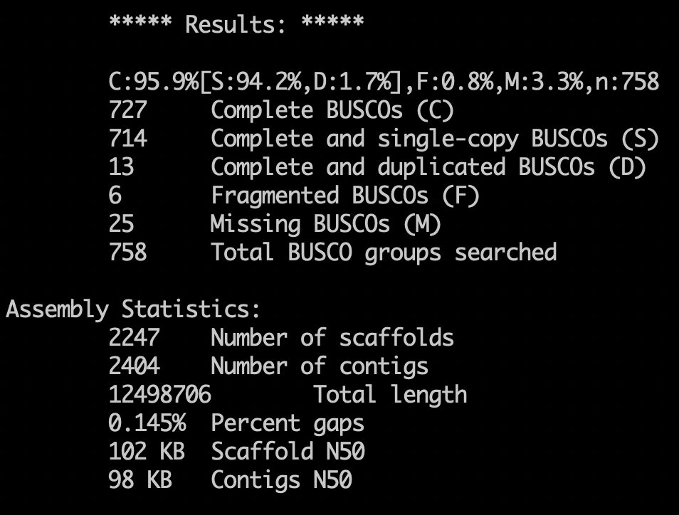 mmanni_bio's tweet photo. #BUSCOv5 (v5.4.2) now provides additional #genome assembly metrics such as assembly size, contig/scaffold N50 and %gaps to facilitate the overall quality assessment. No more need to run separate scripts to calculate these ;) https://t.co/uuyAqMKqKX