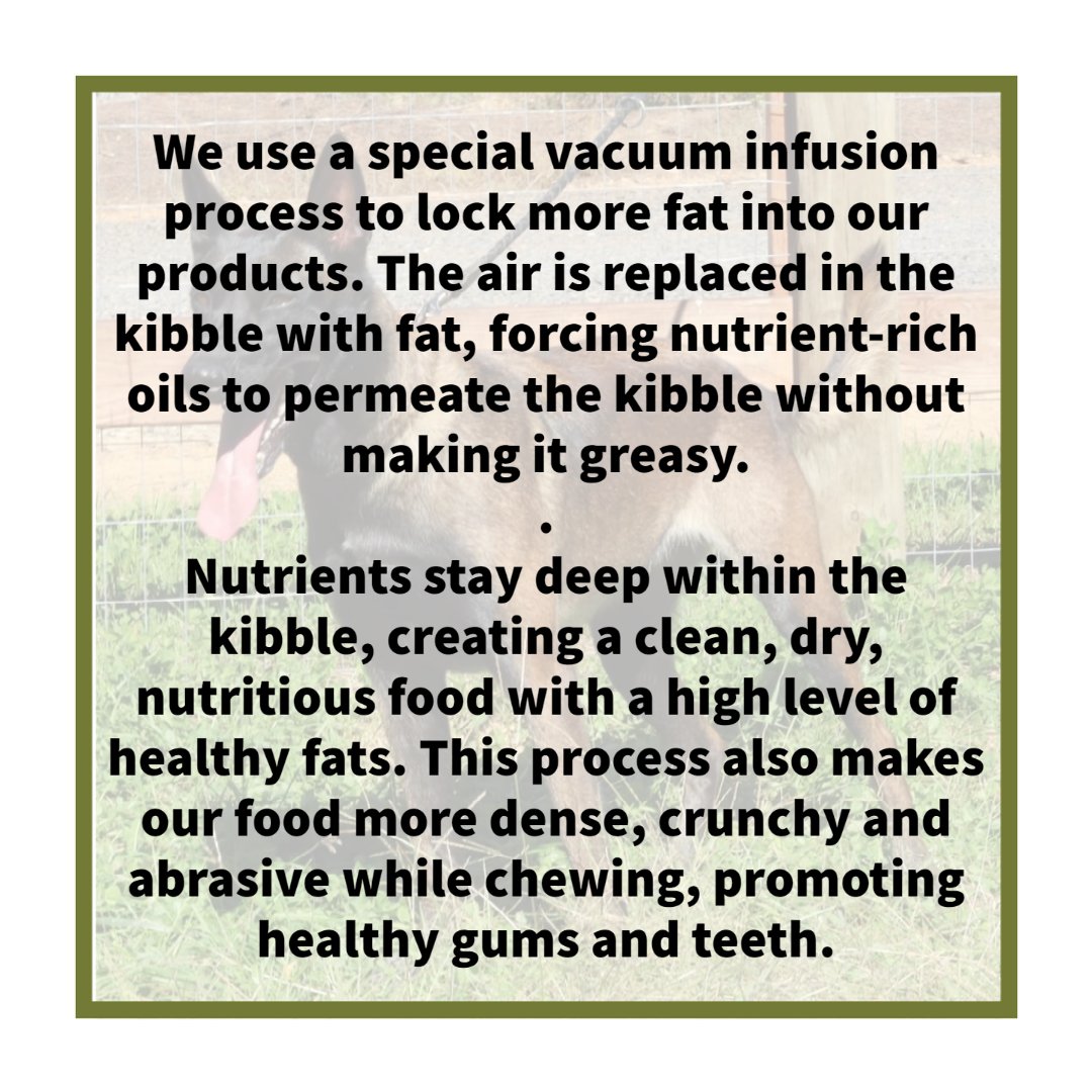 What it is that makes Inukshuk a “high energy” formulation? ⁠
⁠
We use a special vacuum infusion process to lock more fat into our products. The air is replaced in the kibble with fat, forcing nutrient-rich oils to permeate the kibble without making it greasy. ⁠