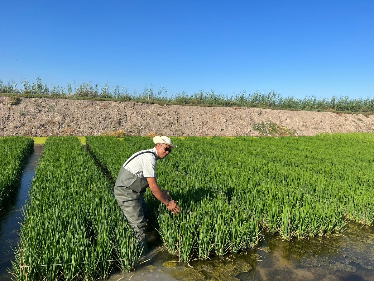 Innovation in plant breeding increases:
🌱 availability of healthy &amp; affordable food for consumers
👩💼 business opportunities for #SMEs worldwide

#EUForeignPolicy &amp; #EUTaiex support the #NewPlantVarieties &amp; global exchanges of best practices &amp; ideas👉🏻 europa.eu/!KQkQMQ