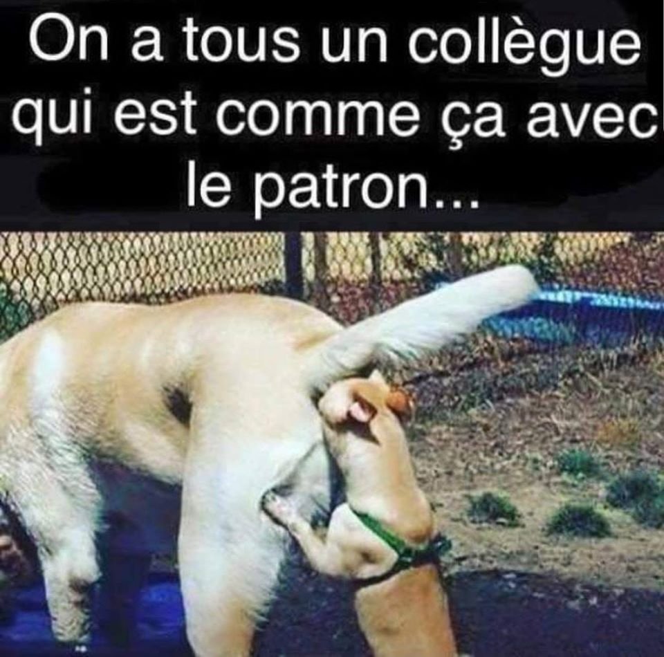 CJuridiques's tweet photo. Un salarié peut publier cette image sur son compte Facebook en ajoutant le commentaire "Voir plusieurs, je confirme" dès lors qu'aucun élément ne permet d'identifier son entreprise.

Cour d'appel de Rennes, 7 janvier 2022, n° 19/01174 https://t.co/Aa4uAFXBu0