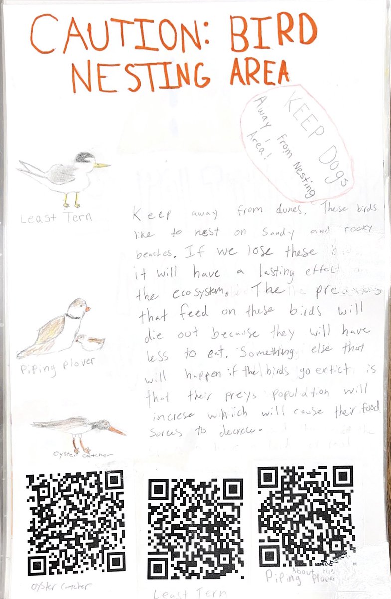 Project Oceanology (@proj_oceanology) on Twitter photo Check out our bird-tastic posters!
- Campers here <a href="/Proj_Oceanology/">Project Oceanology</a> are aware that marine life is more than just critters in the water, we acknowledge our near shore birds too! <a href="/audubonsociety/">Audubon Society</a>
#projectoceanology #SummerCamp #nearshorebirds Check out our bird-tastic posters!
- Campers here <a href="/Proj_Oceanology/">Project Oceanology</a> are aware that marine life is more than just critters in the water, we acknowledge our near shore birds too! <a href="/audubonsociety/">Audubon Society</a>
#projectoceanology #SummerCamp #nearshorebirds