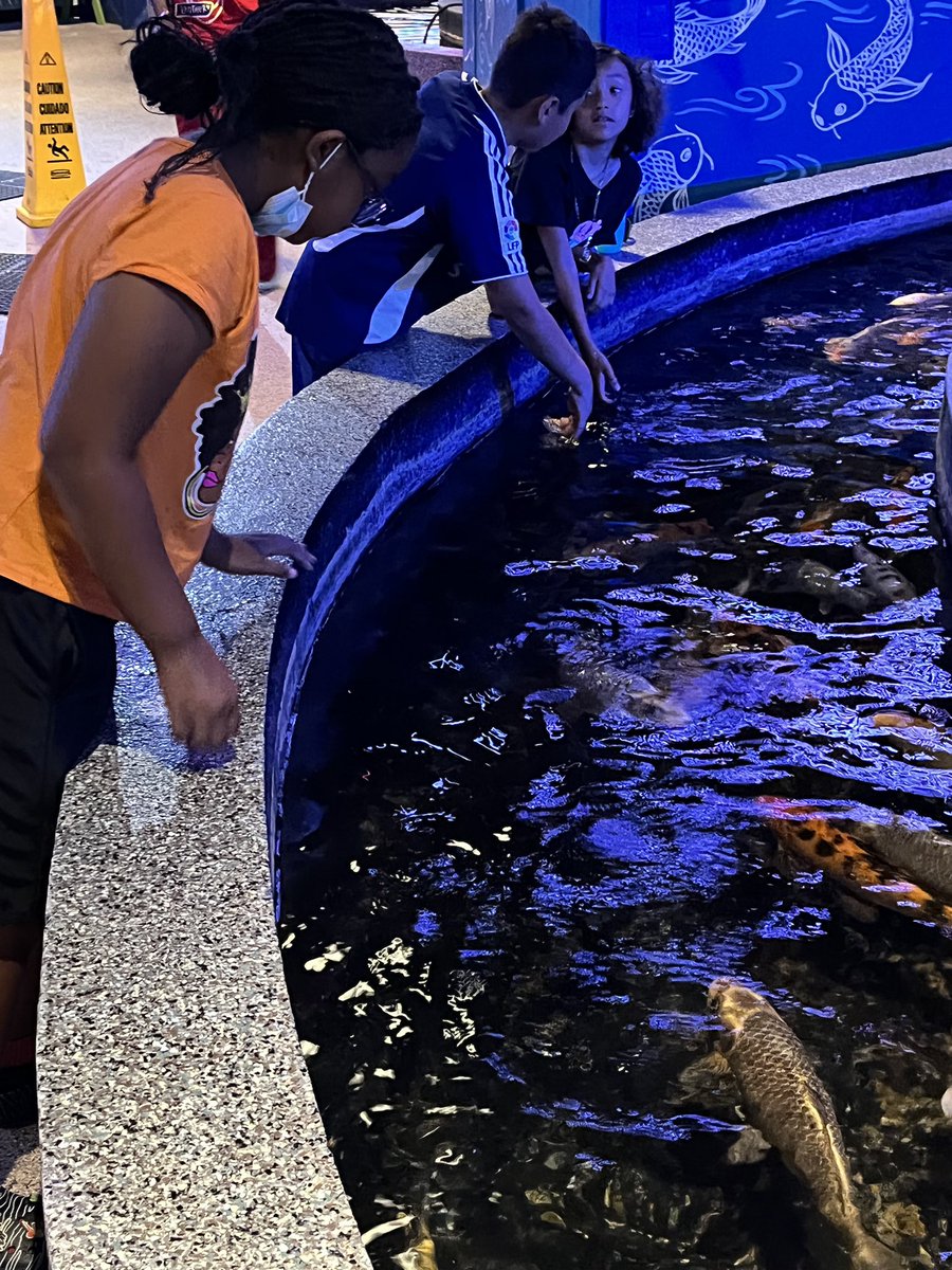 It’s field trip Friday <a href="/sep_keane/">Keane SEP</a>!! 3rd-5th grade superheroes are having so much fun <a href="/ViaAquarium/">Via Aquarium</a> #superheroesofSEP