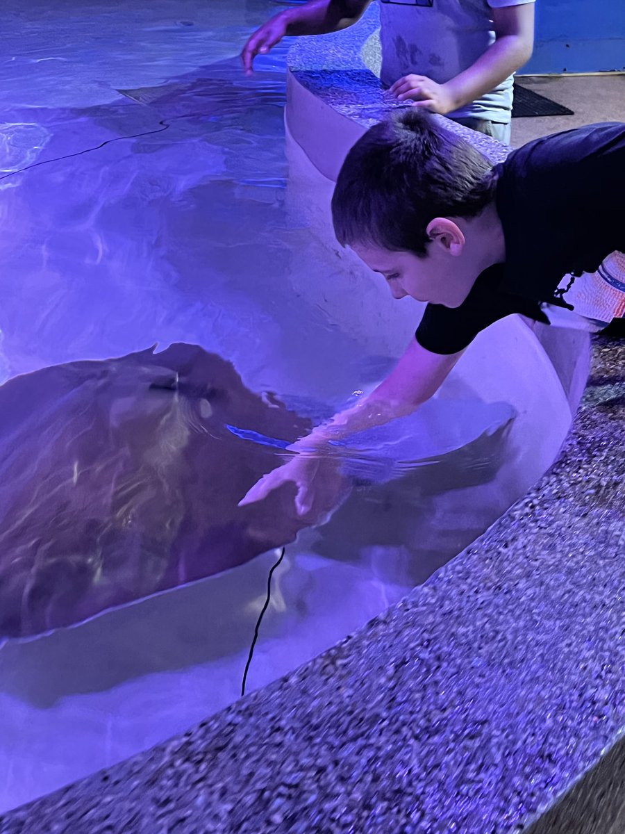 Nicole Mastrianni tweet media