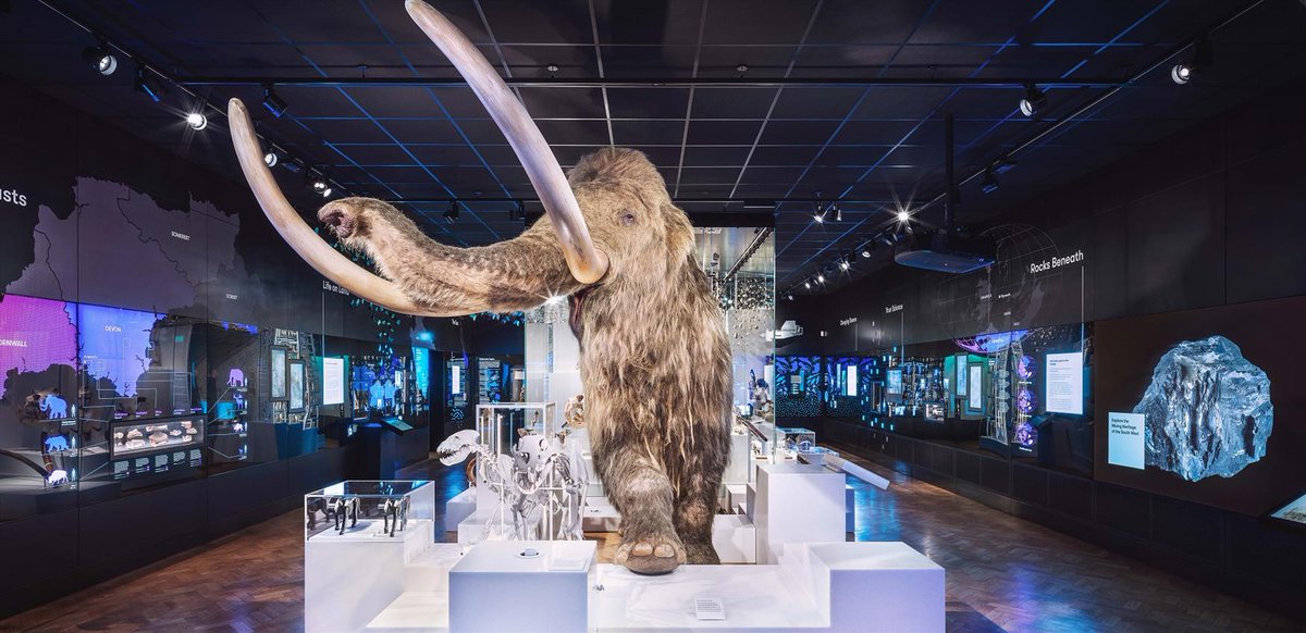 The Box is Plymouth’s award-winning new museum, art gallery and archive. 

Don’t miss out on standing in awe of Mildred, the life-sized mammoth and uncover the rest of the creatures in the gallery.

Book tickets: theboxplymouth.com