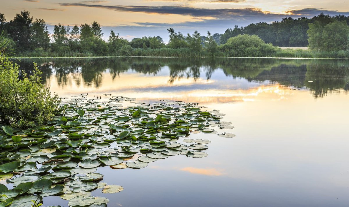 🤫

Ga je zondagochtend om 08:00 uur mee met onze Stilte vaartocht? 

Een rustgevende vaartocht die je de kans geeft even uit het drukke bestaan te stappen. Dompel je met al je zintuigen onder in de schoonheid van De Wieden. 

Aanmelden kan via link in bio. 

#natuurmonumenten