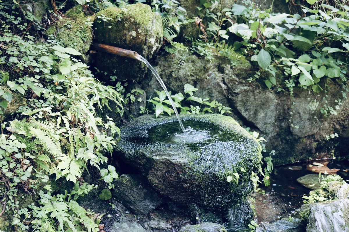CameraMog's tweet photo. コロナにかかってたタイミングで色々撮りに行こうと思ってて、結局全て行けなかった😂😂
悲しみと共に過去の夏っぽい写真を…📸

#カメラ女子 
#カメラ初心者 
#夏
#風景
#空 https://t.co/MTpEFy62Wr