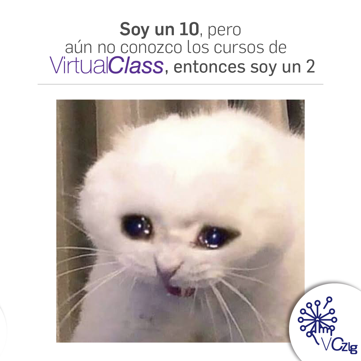Zonalogistica's tweet photo. ¿Qué esperas para conocer #VirtualClass?

Descubre cursos especializados en logística pensados para enfrentar los crecientes retos de la cadena de suministro.

¡Inicia hoy tu capacitación logística!

🔗Conoce más en el link https://t.co/B3uYrX1kvL https://t.co/mECfR9YoCr