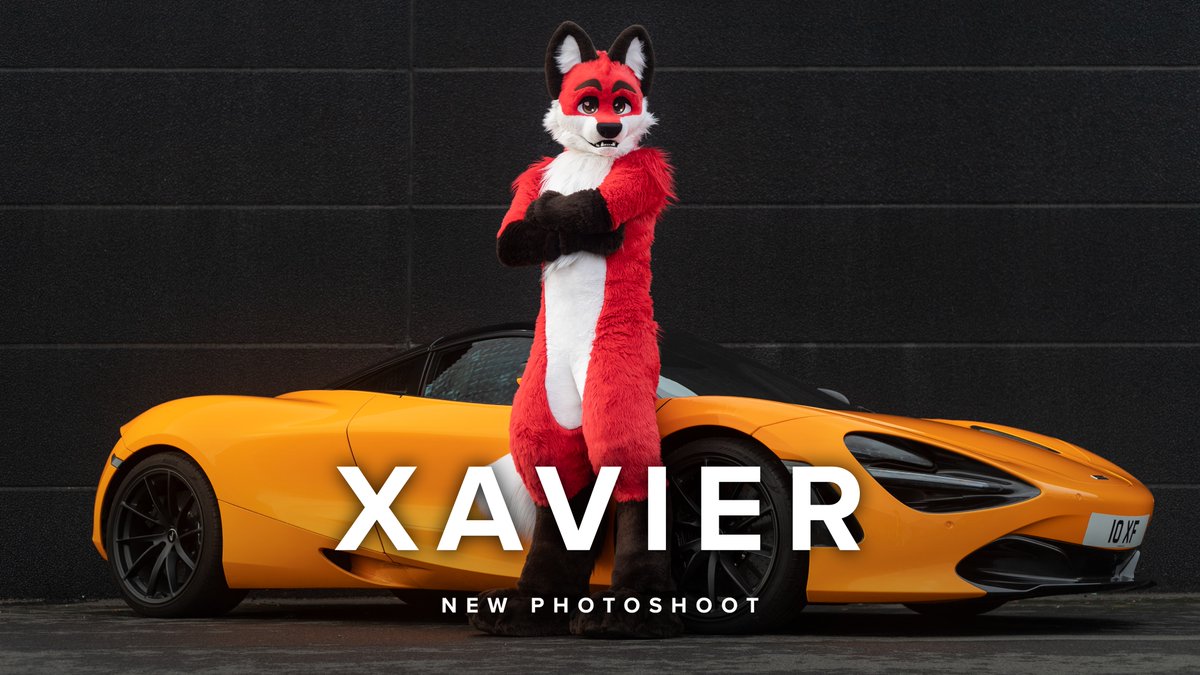 MYLO 🦊📸 tweet media