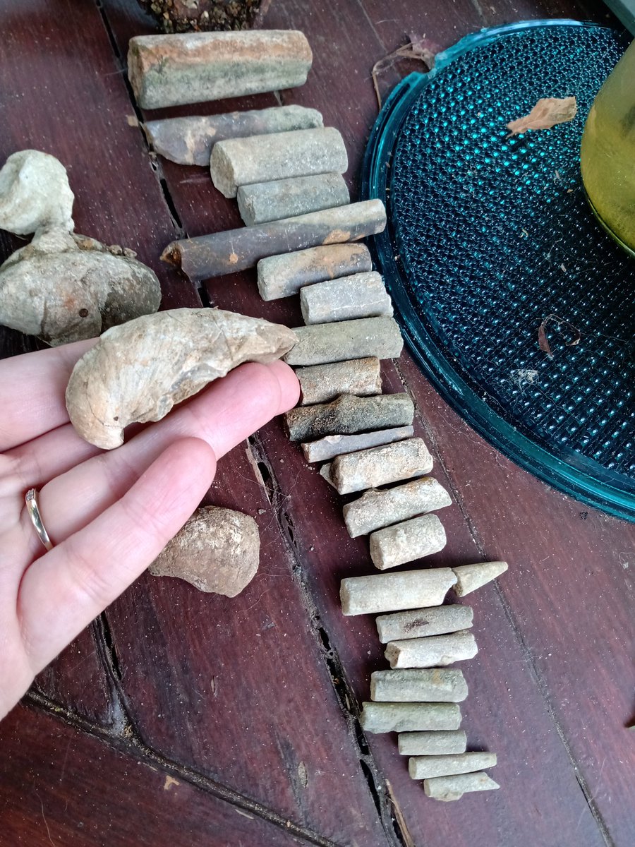 LucyHill22's tweet photo. #mudlarking River Slea. Went looking for pottery came back with fossils. #belemnite #Gryphaea @TideLineArt https://t.co/rvxtzTQYmP
