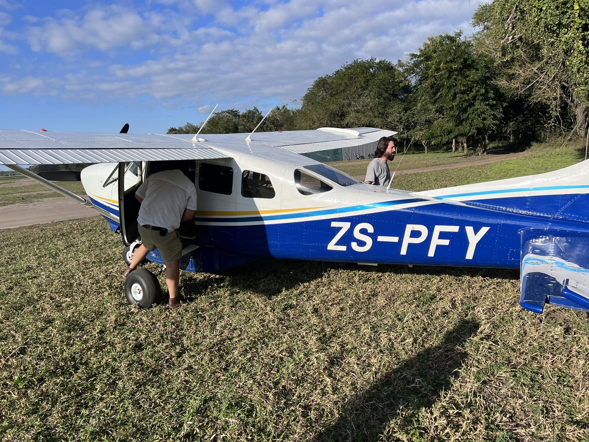 Robert Anemone tweet media