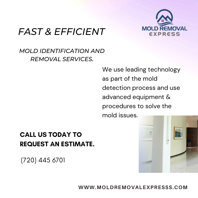 MoldRemovalXP's tweet photo. Presence of mold is a major problem. Get a detailed written estimate, based on a careful assessment of what will be required for complete remediation of your mold problem. 

Contact Mold Removal Express for more details.
#denver #boulder #fortcollins #coloradosprings #wyoming https://t.co/LAOM9TUB8r