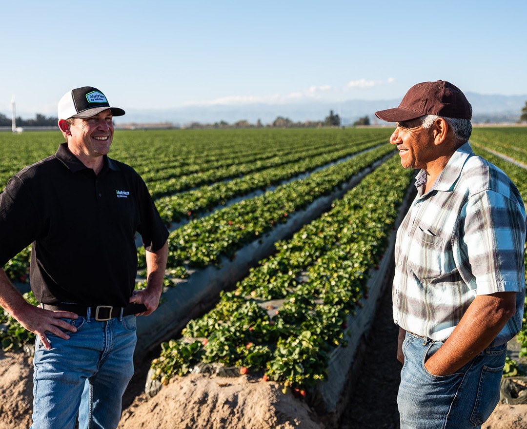 NutrienAgRetail's tweet photo. In the face of rising interest rates, partnering with Nutrien Financial™ can help you prepare for the future with confidence. Our latest blog post explores why financing your input purchases may be beneficial to your operation:🔗 https://t.co/fvSs4tchJw #AgFinancing https://t.co/v28C0atxVF