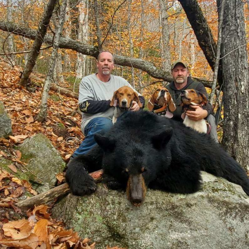 Frank☆☆☆ tweet media