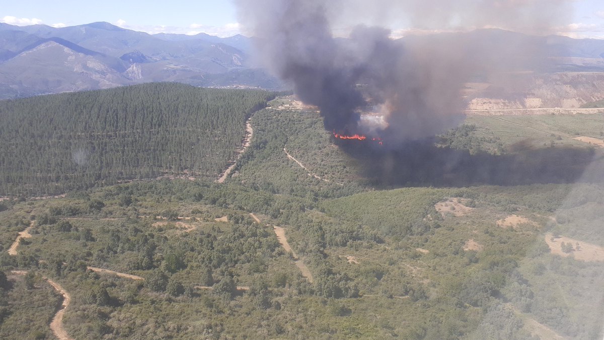 naturalezacyl's tweet photo. Medios actuando en #IFOteroDeNavaguantes, declarado Nivel 2⃣:

🔸2 técnicos
🔸7 #AAMM
🔸4 helicópteros 🚁
🔸3 ELIF
🔸2 aviones anfibio
🔸1 ✈ de coordinación
🔸5 cuadrillas terrestres
🔸4 autobombas 🚒
🔸3 bulldozer

https://t.co/NtqdcMl35Y https://t.co/kAEewggIJH