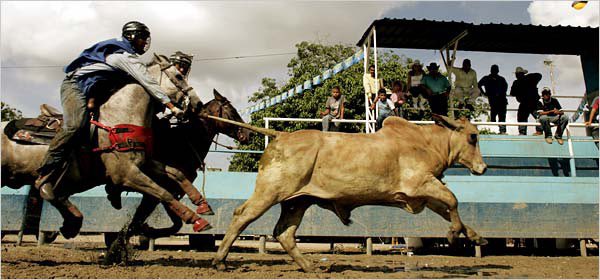 🚨THE SOUTH FLORIDA SPCA CALL TO ACTION! WE NEED YOUR HELP TO STOP CRUELTY TO BULLS!🚨
•Office of the Mayor - (305)375-5071
•Commissioner McGhee - (305)375-4832
•AG Patrol (786)218-8344
Call all 3 numbers demanding that we put a stop to coleo that is scheduled August 6-7th