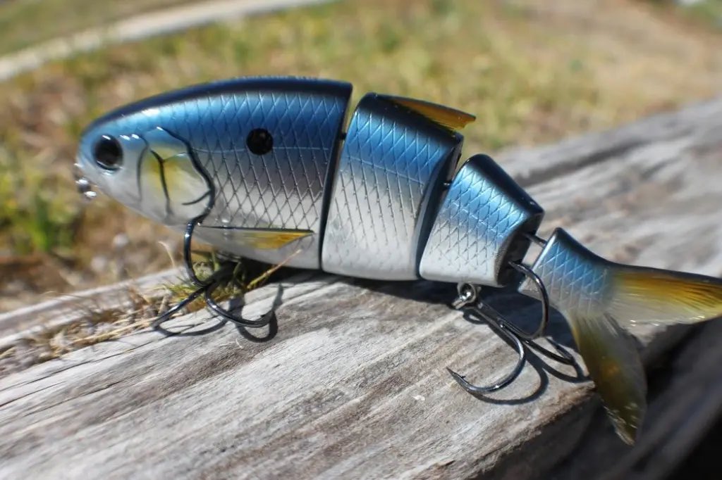 The_FTI's tweet photo. A little later than I wanted due to Covid, but better late than never.  I had to mid #ICAST, but luckily @FishLabTackle sent me samples. 
Check out the full review of the BBZ Bio-Shad Gizzard

https://t.co/qRGxkfVno6

#swimbait #fishing #largemouth https://t.co/kTqtckExOH