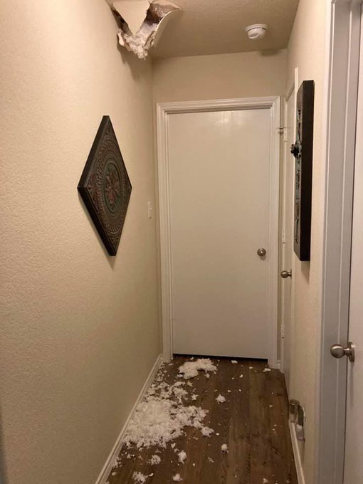 2 years ago today my foot went through a customers ceiling 💀😂 https://t.co/Dq3fjAgZEH<a href="/tag/dog"class="tags"><span>#dog</span></a><a href="/tag/puppy"class="tags"><span>#puppy</span></a><a href="/tag/doge"class="tags"><span>#doge</span></a><a href="/tag/pupper"class="tags"><span>#pupper</span></a><a href="/tag/onetruove"class="tags"><span>#onetruove</span></a>