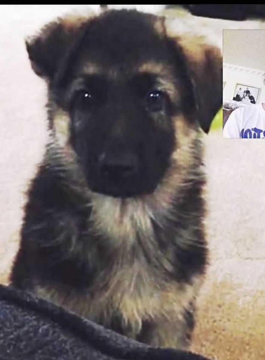 Da Baby Wolfgang FaceTiming his Cousin to ask if he will ever grow into his ears