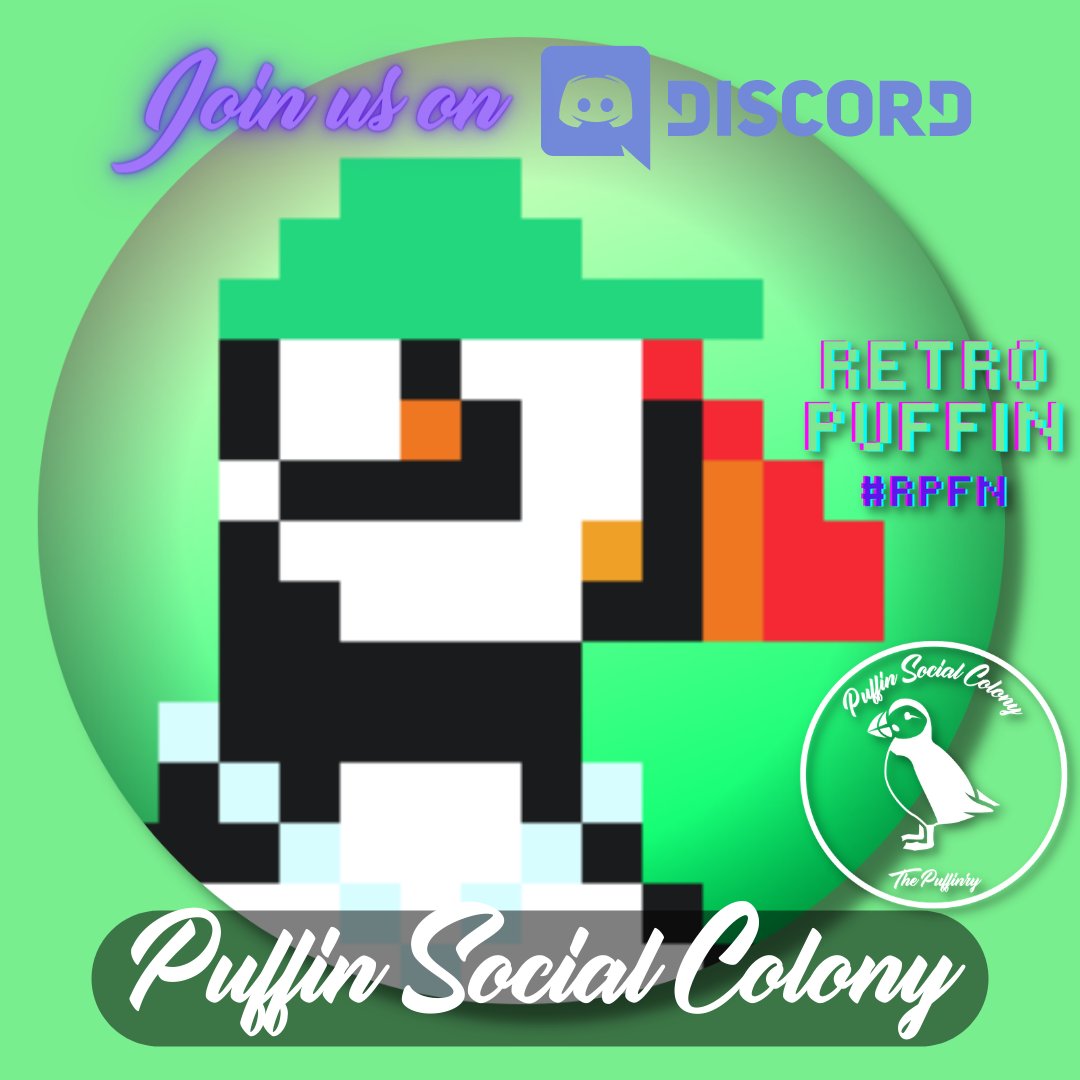 Join the official Discord server of the Puffin Social Colony and receive 2 free Retro Puffin #NFTs ! #NFTCommunity #PolygonNFTs #FreeNFTs #NFTAirdrop discord.gg/Uc3dyWJHy3