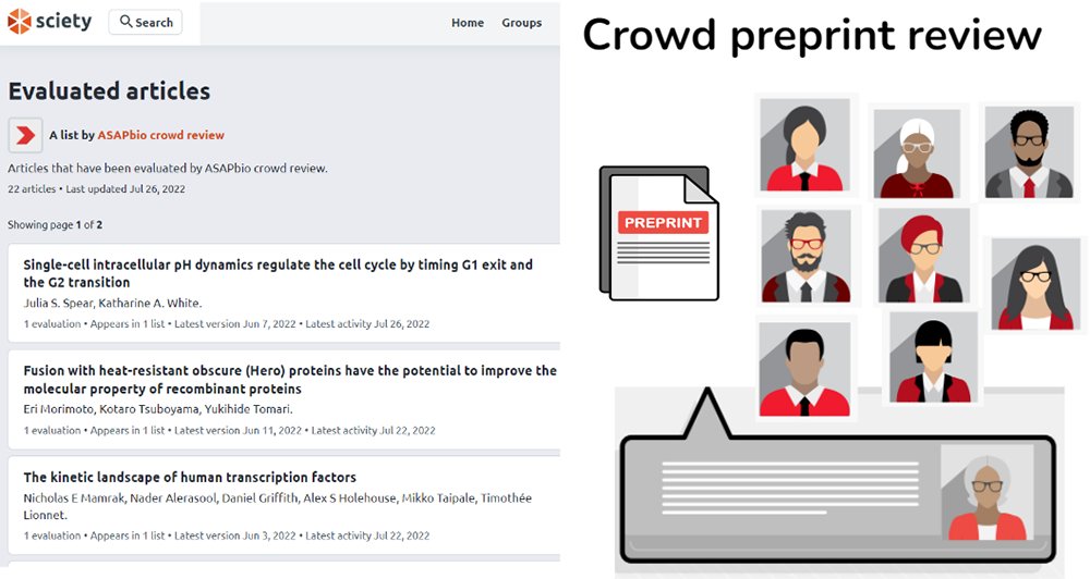 RedeSciELO's tweet photo. SciELO en Perspectiva via @ASAPbio_: "Apoyo a la revisión pública de preprints a través de revisiones colaborativas: una actualización sobre la revisión de preprints multitudinaria de ASAPbio" #CienciaAbierta #Preprint #PublishYourReviews

https://t.co/KfJF09Pff3 https://t.co/IbAAwEN0Cq