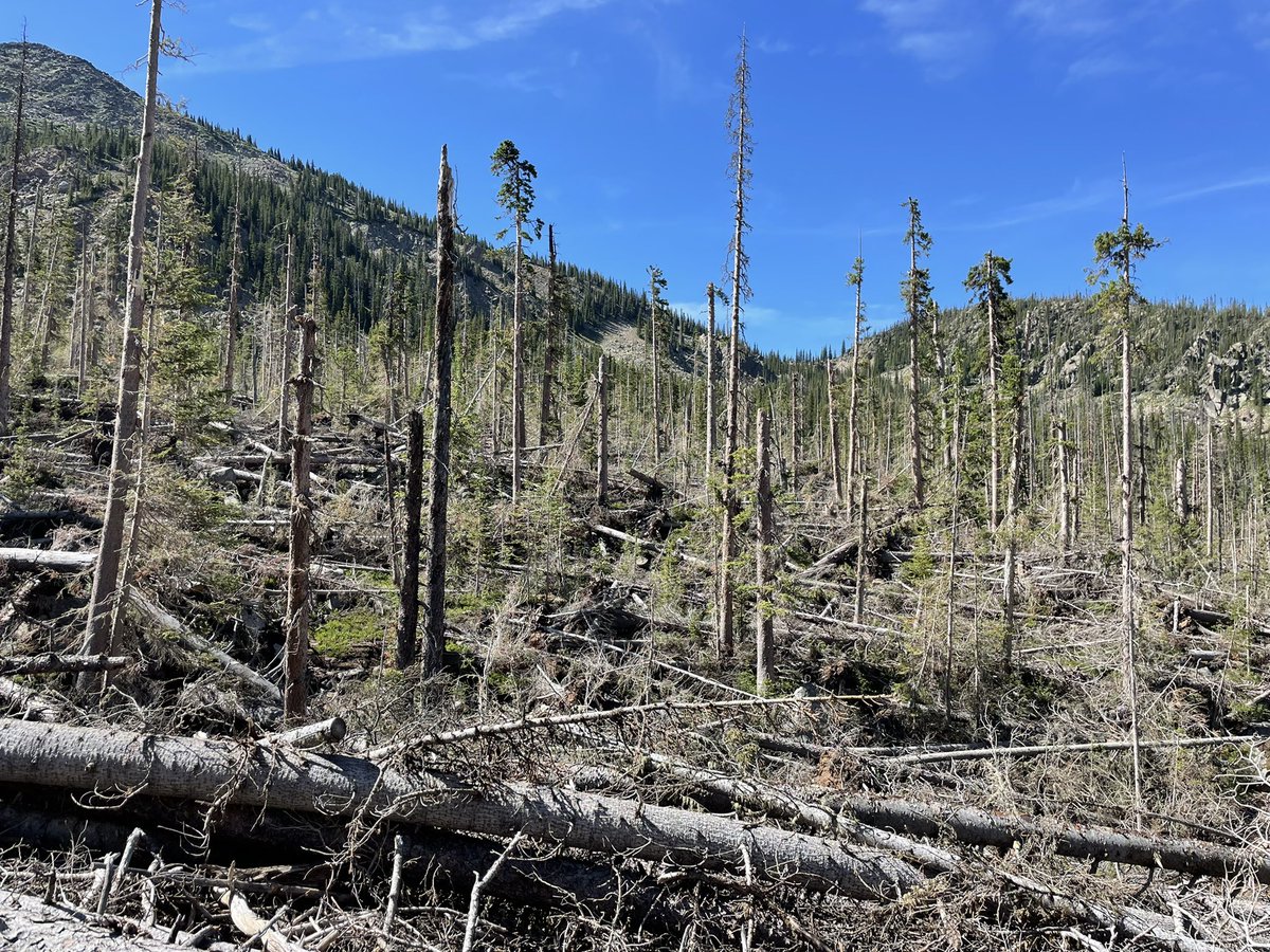 Derecho area in Grand County, Devil’s Thumb trail https://t.co/P46CO9IoZF