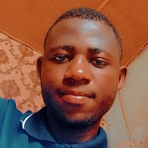 øbility tweet media