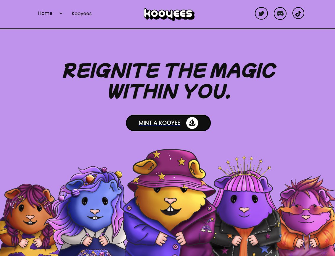 Kooyees website sneak peek. Launching soon!